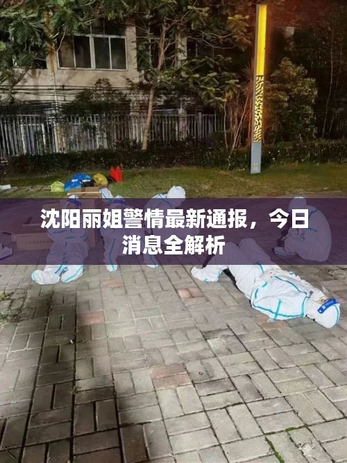 沈阳丽姐警情最新通报，今日消息全解析