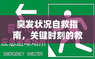 突发状况自救指南，关键时刻的救命答案