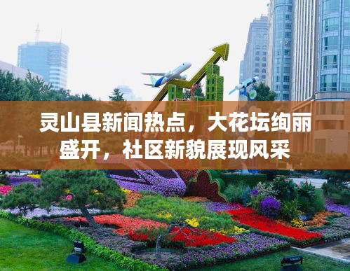 灵山县新闻热点，大花坛绚丽盛开，社区新貌展现风采