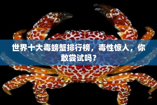 萍水相逢 第2页