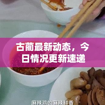 古蔺最新动态，今日情况更新速递