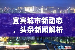 伤弓之鸟 第2页