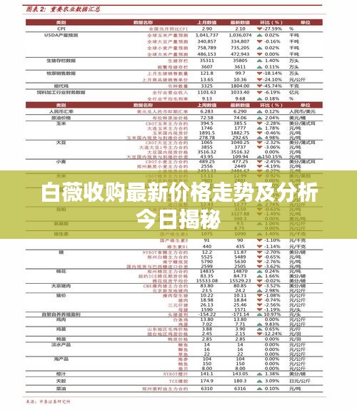 白薇收购最新价格走势及分析今日揭秘