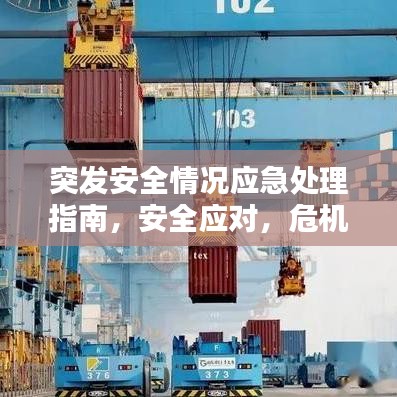 突发安全情况应急处理指南，安全应对，危机无忧！