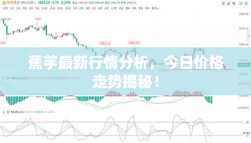蕉芋最新行情分析，今日价格走势揭秘！