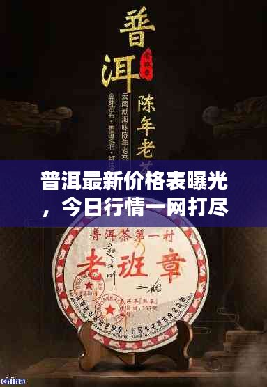 普洱最新价格表曝光，今日行情一网打尽