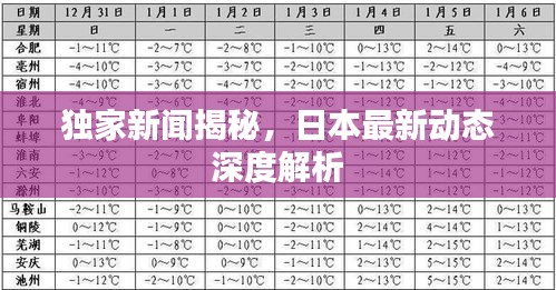 独家新闻揭秘，日本最新动态深度解析