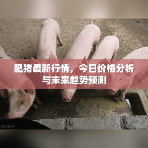 鸢飞鱼跃 第2页