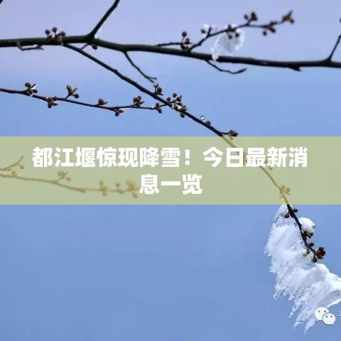 都江堰惊现降雪！今日最新消息一览