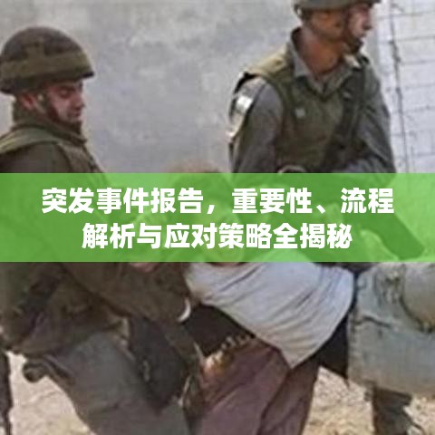 突发事件报告，重要性、流程解析与应对策略全揭秘