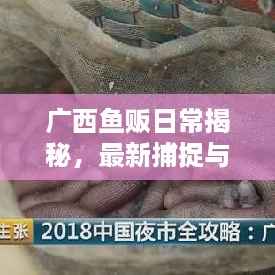 广西鱼贩日常揭秘，最新捕捉与交易纪实视频火爆来袭