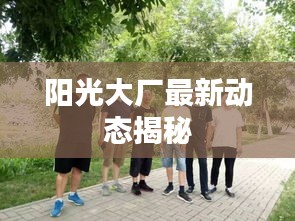 阳光大厂最新动态揭秘