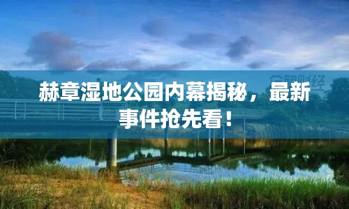 赫章湿地公园内幕揭秘，最新事件抢先看！
