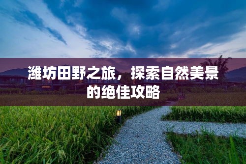 潍坊田野之旅，探索自然美景的绝佳攻略