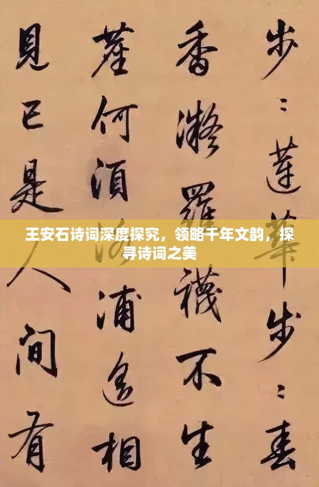 王安石诗词深度探究，领略千年文韵，探寻诗词之美