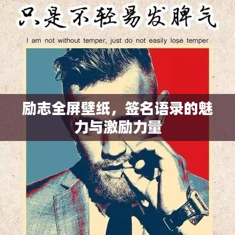 张皇铺饰 第2页