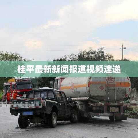 桂平最新新闻报道视频速递