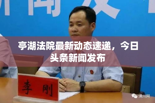亭湖法院最新动态速递，今日头条新闻发布