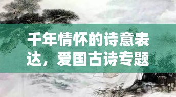 千年情怀的诗意表达，爱国古诗专题探索