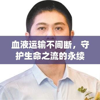 血液运输不间断，守护生命之流的永续流动