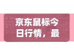 京东鼠标今日行情，最新价格查询汇总