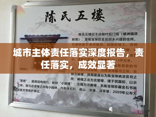 城市主体责任落实深度报告，责任落实，成效显著