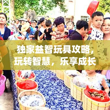 独家益智玩具攻略，玩转智慧，乐享成长之旅