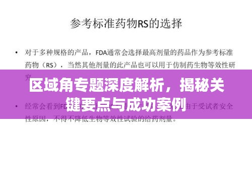 区域角专题深度解析，揭秘关键要点与成功案例