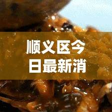 顺义区今日最新消息速递