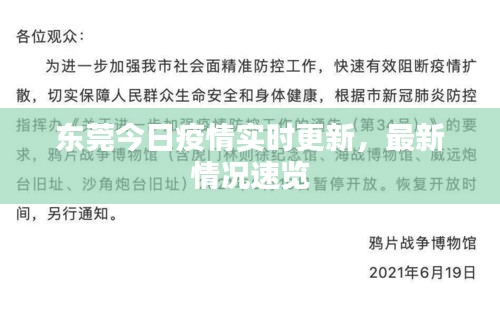 东莞今日疫情实时更新，最新情况速览