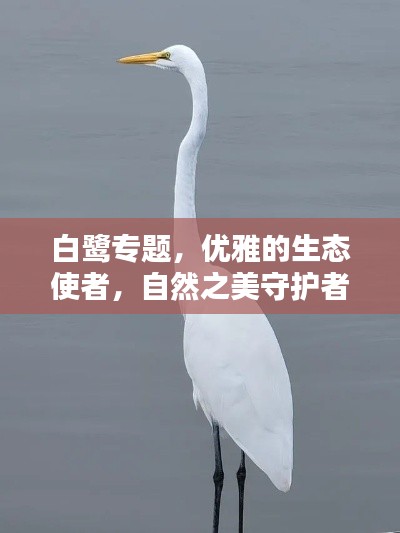 事必躬亲 第2页