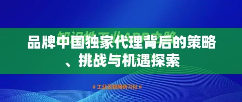 品牌中国独家代理背后的策略、挑战与机遇探索