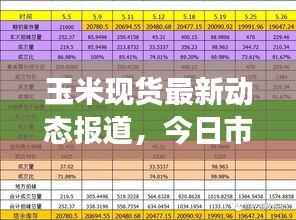 玉米现货最新动态报道，今日市场分析与趋势预测