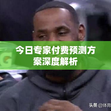 今日专家付费预测方案深度解析
