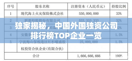 独家揭秘，中国外国独资公司排行榜TOP企业一览