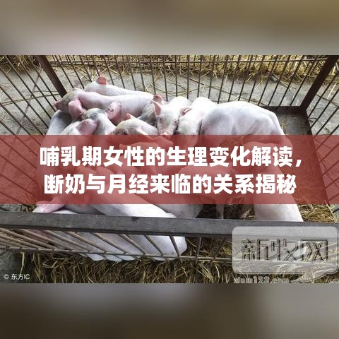 朴素无华 第2页