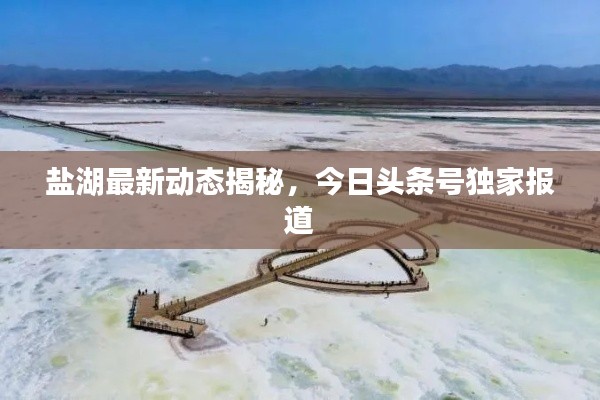 尖嘴猴腮 第2页