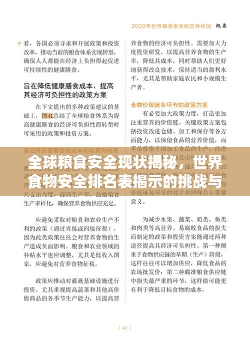 全球粮食安全现状揭秘，世界食物安全排名表揭示的挑战与应对之道