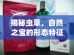 揭秘虫草，自然之宝的形态特征探索