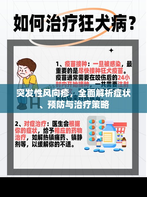 突发性风向疹，全面解析症状、预防与治疗策略