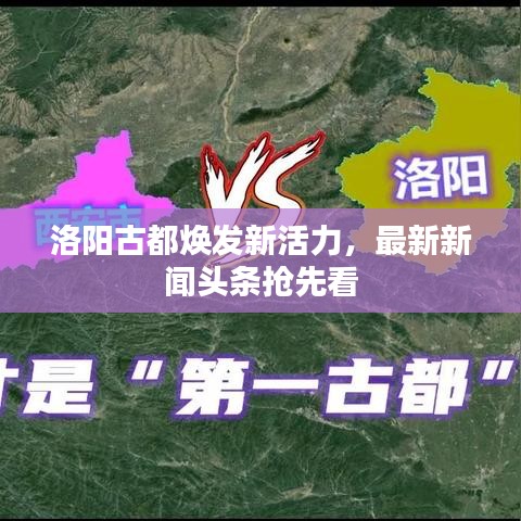 洛阳古都焕发新活力,最新新闻头条抢先看