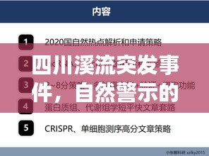四川溪流突发事件，自然警示的背后与应对策略探索
