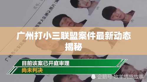 广州打小三联盟案件最新动态揭秘