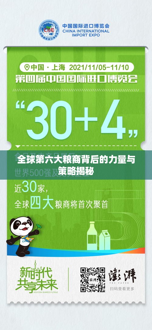 全球第六大粮商背后的力量与策略揭秘