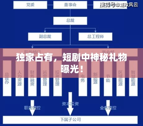 独家占有，短剧中神秘礼物曝光！