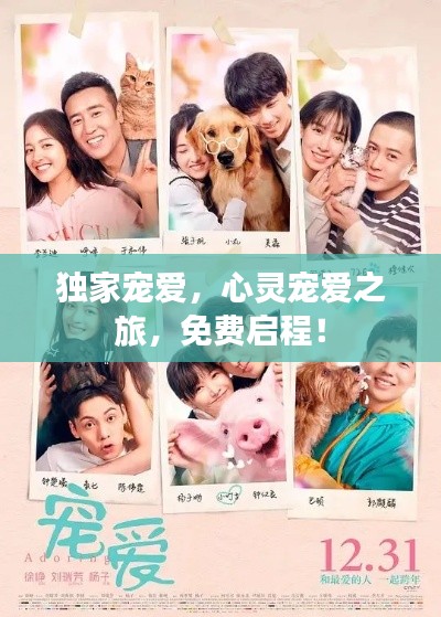 张袂成阴 第2页