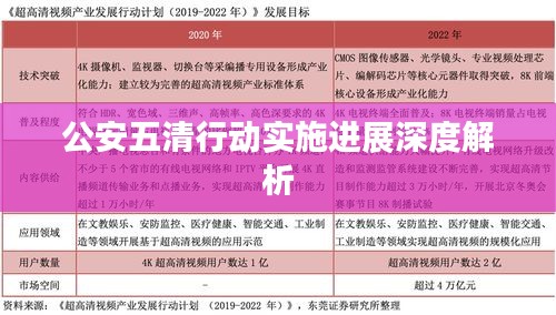 公安五清行动实施进展深度解析