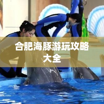 合肥海豚游玩攻略大全