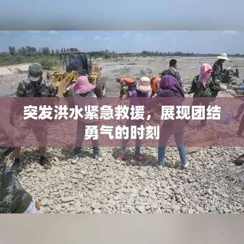 突发洪水紧急救援，展现团结勇气的时刻