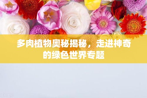 多肉植物奥秘揭秘，走进神奇的绿色世界专题